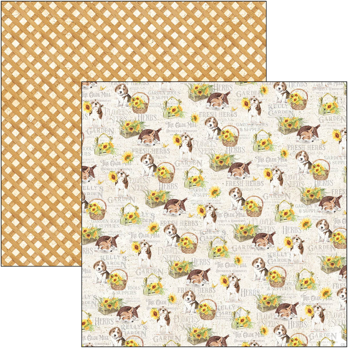 Ciao Bella Paperpad "Farmhouse Garden" 8x8 '' (20,3x20,3 cm)