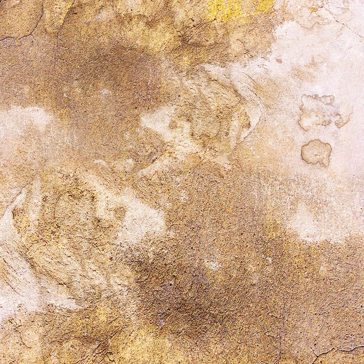 Ciao Bella Paperpad "Farmhouse Garden" 8x8 '' (20,3x20,3 cm)