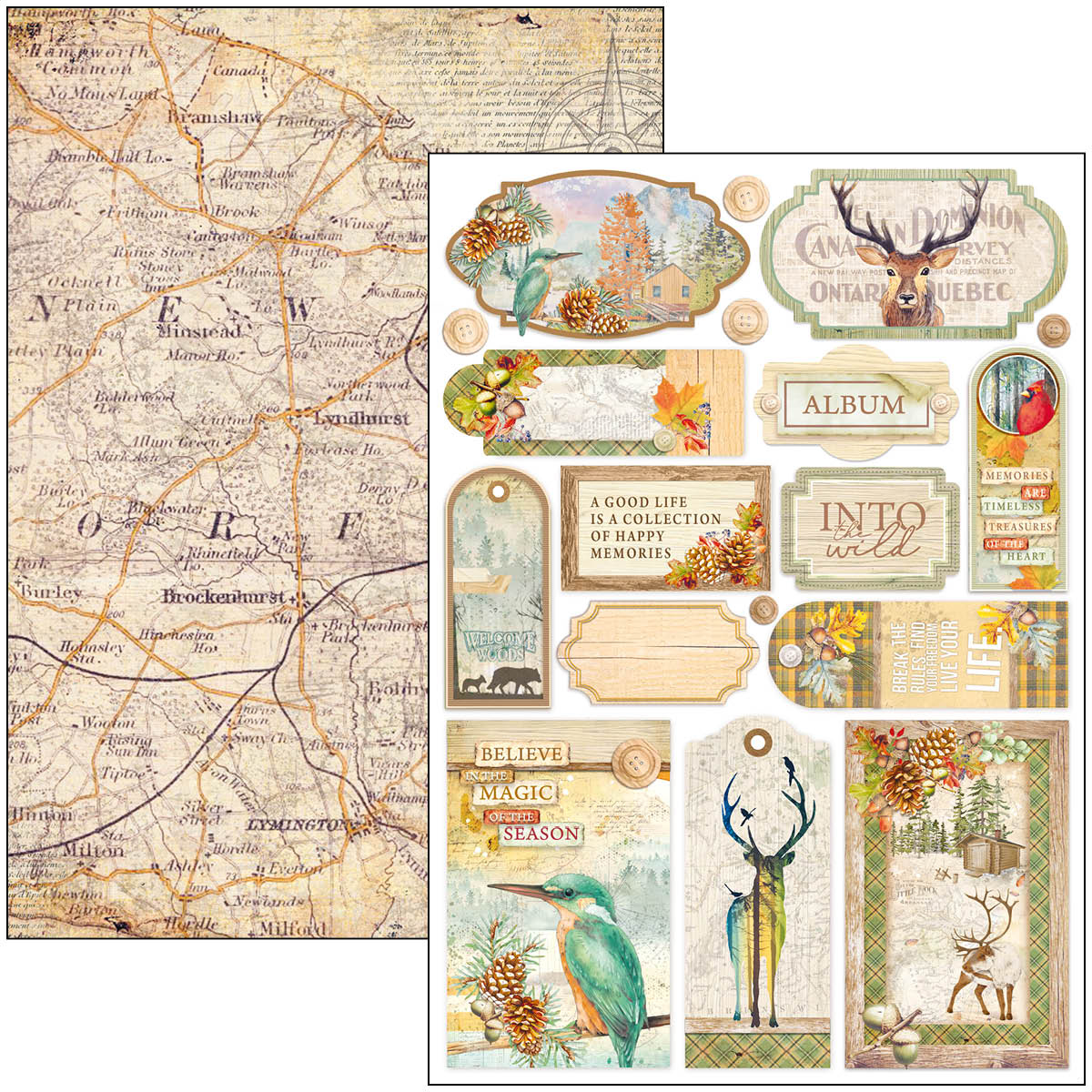 Ciao Bella Creative Pad A4 "Into the wild"