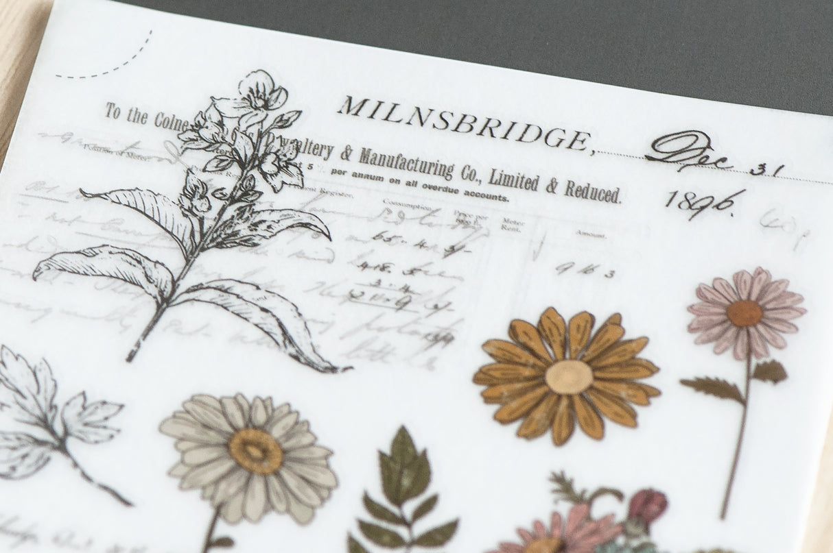 Mu Lifestyle • Print On Sticker • 211