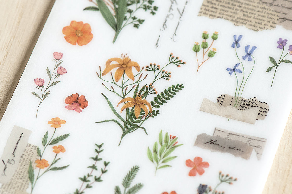 Mu Lifestyle • Print On Sticker • 213