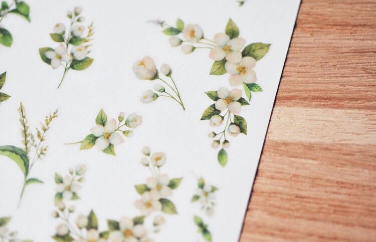 Mu Lifestyle • Print On Sticker • 035