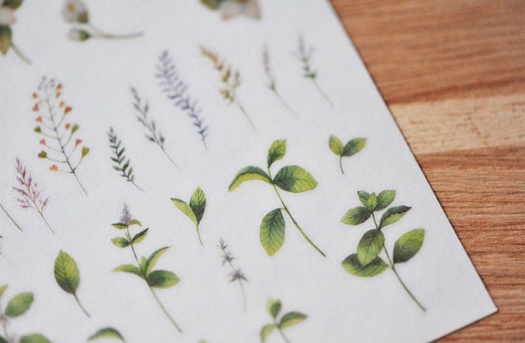 Mu Lifestyle • Print On Sticker • 035