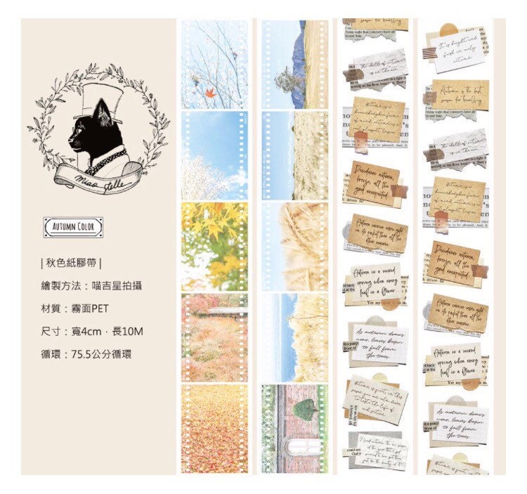 MiaoStelle Matte PET Washitape "Autumn Color"