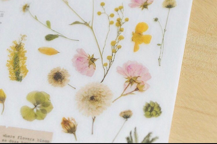 Mu Lifestyle • Print On Sticker • 103