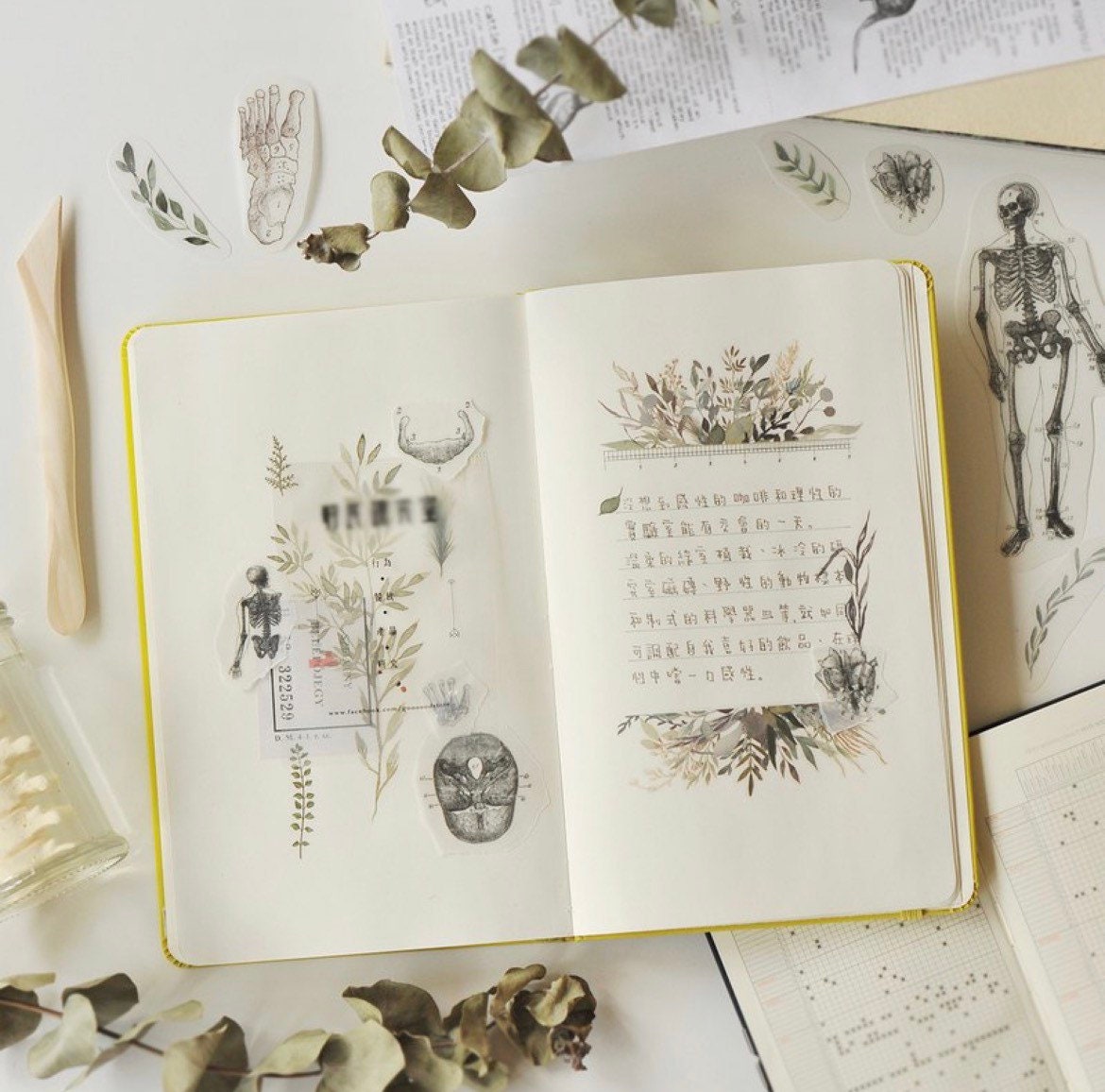 Mu Lifestyle • Print On Sticker • 074