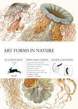 Pepin Press Geschenk- & Kreativpapier "Art Forms in Nature"
