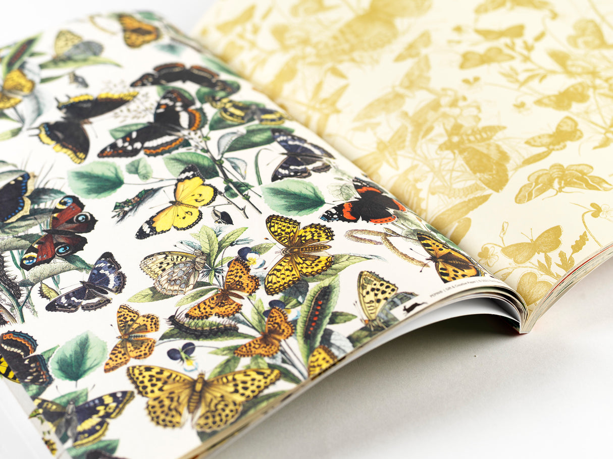 Pepin Press Geschenk- & Kreativpapier "Butterflies"