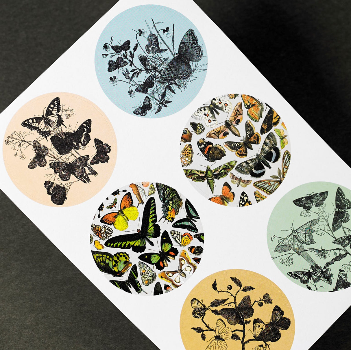 Pepin Press Labels, Stickers & Tapes "Natural History"