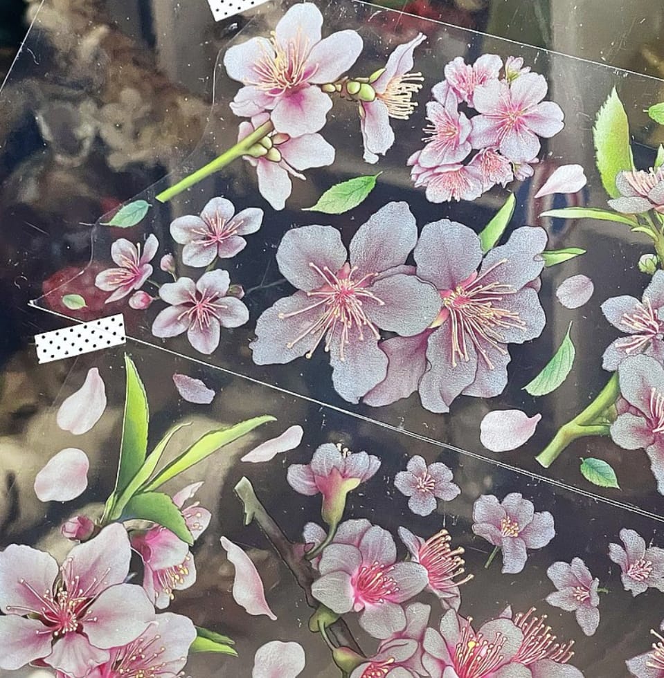 Battypei PET/Washitape "Cherry Blossom"