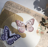 Loi Design Papertape "Fantasy Butterfly"